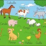 LAMINAS DE ANIMALES