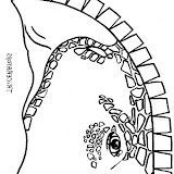 Careta triceratops