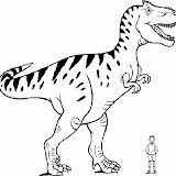 Tiranosaurio rex